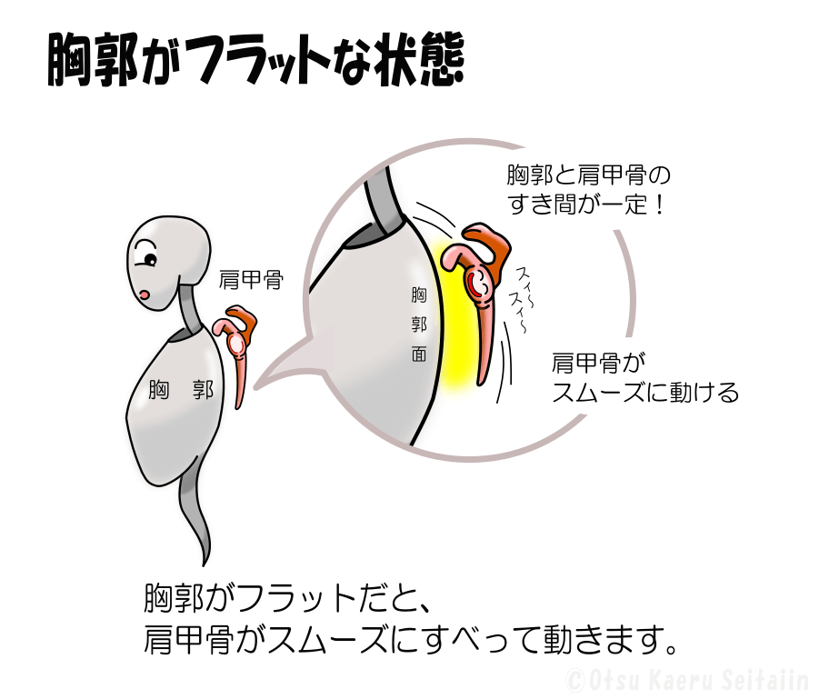 胸郭がフラットなときは肩甲骨がスムーズにすべる解説図