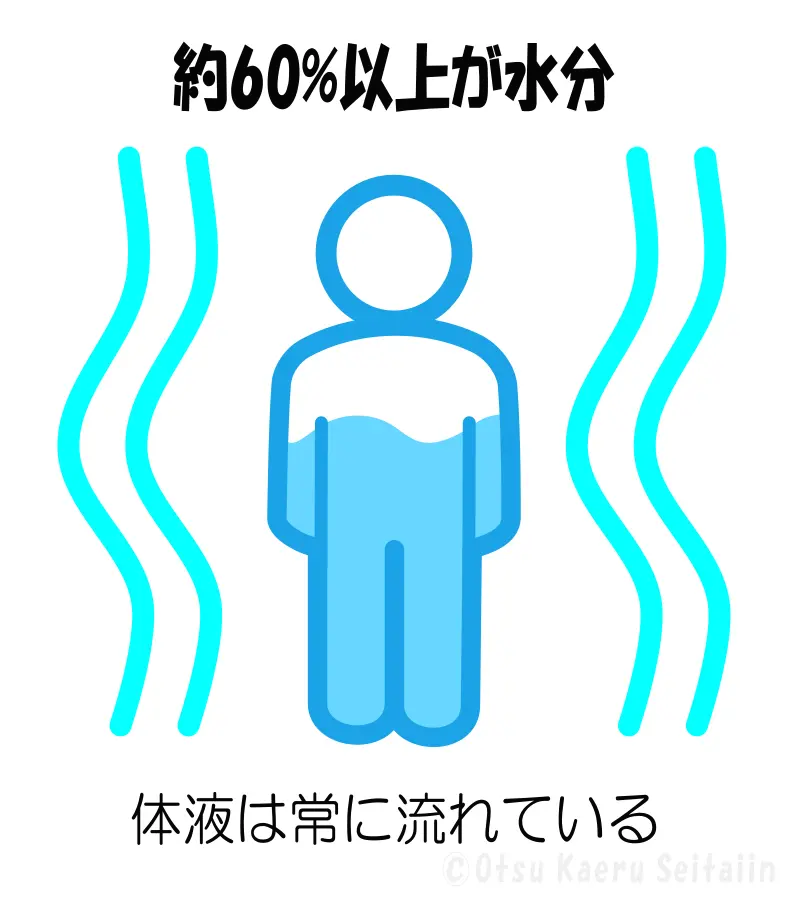 体液の流れを表したイラスト｜人の体の約60％は水分