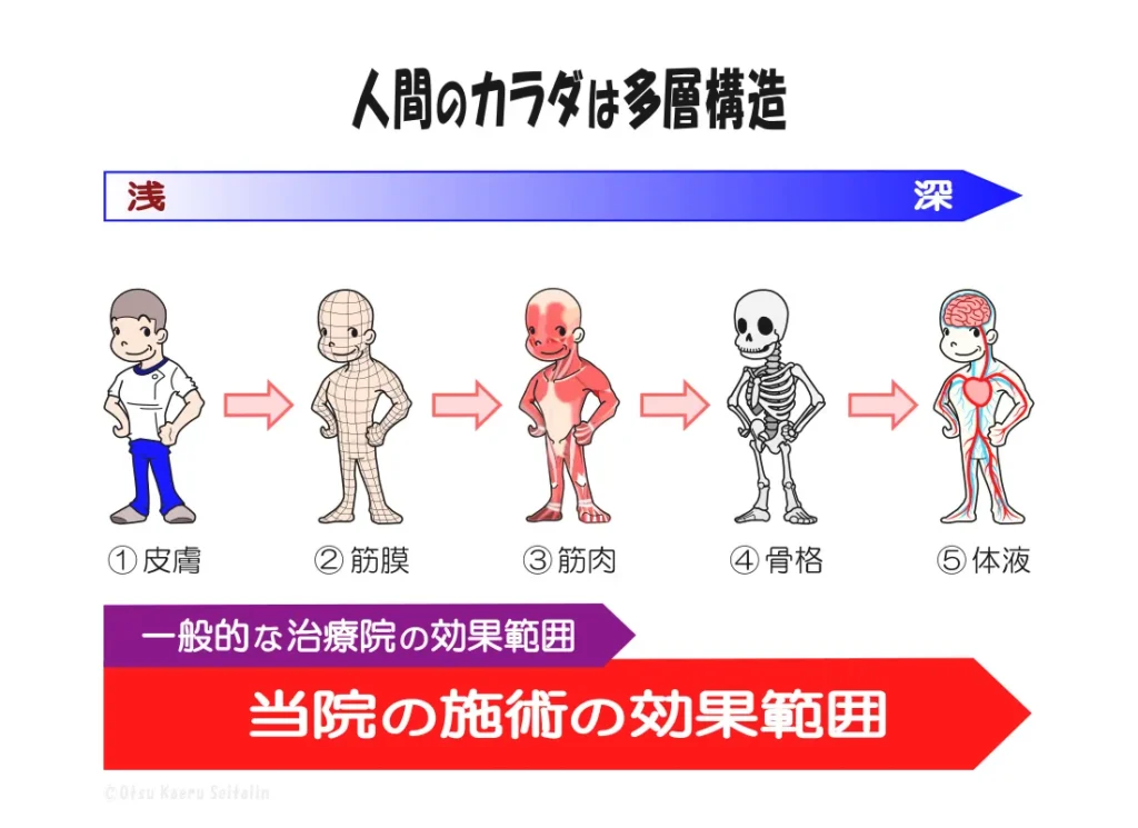 人間の体の多層構造イラスト｜姿勢・筋肉・関節バランスと回復の仕組み解説