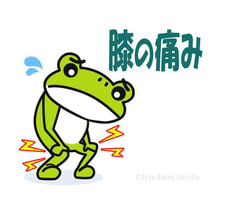 膝の痛みの症状ページ